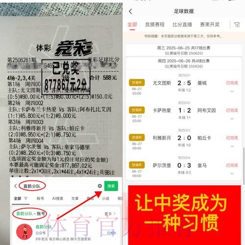 全面解析世界杯竞猜平台的安全性分析